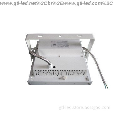 ceiling type LED canopy light